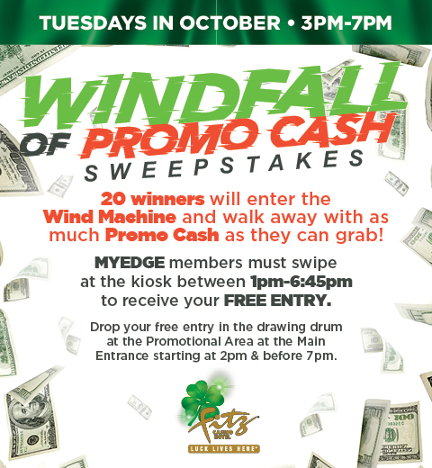 Fz30518 Windfallofpromocashsweepstakes October 480X520 Dgtl