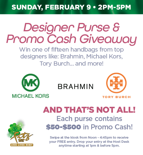 Fz31382 Designer Purse & Promo Cash Giveaway February 480X520 Dgtl