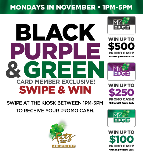 Fz30710 Blackpurple&Greenswipe&Win November 480X520 Dgtl