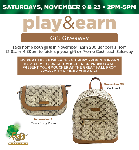 Fz30723 Play&Earn Giftgiveaway November 480X520 Dgtl