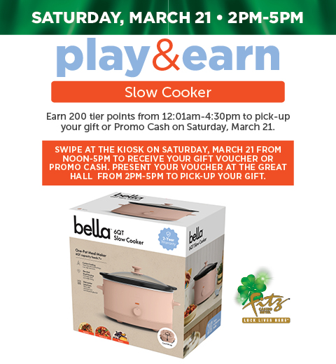 Fz34570 Play & Earn Slow Cooker Mar 480X520 Dgtl