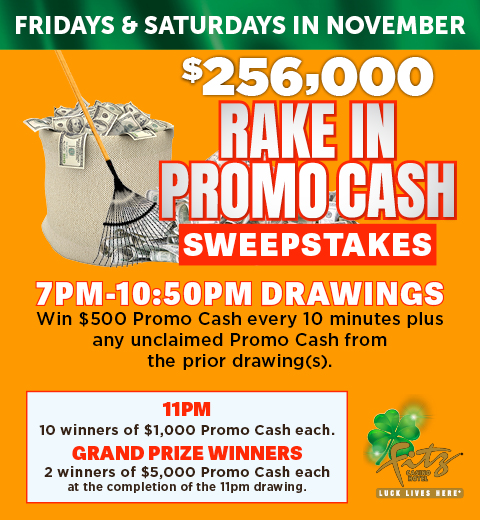 Rake Nov Intro